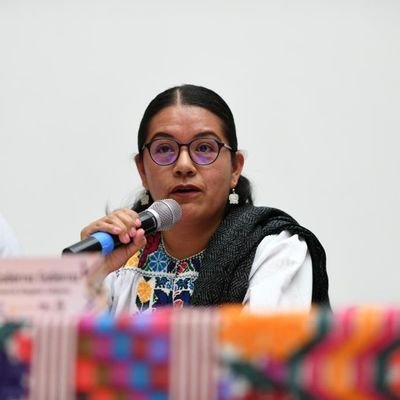 Zapoteca, abogada, mamá, soñadora cofundadora e integrante de la RAI.