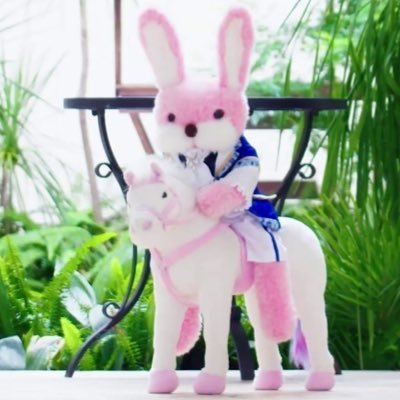 辛子わさび+さんのプロフィール画像