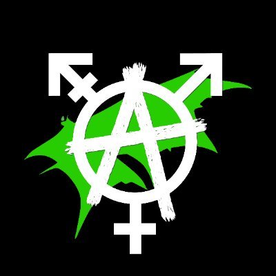 YouTube streamer. Nonbinary transsexual femboy 🏳️‍⚧️ Leftist ☭ Dragon 🐉 WEAR A MASK. It/Its