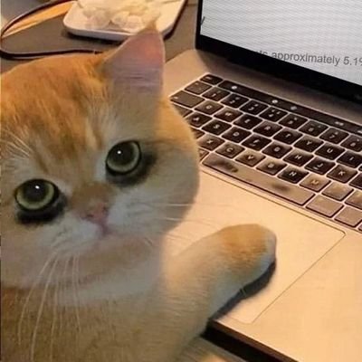 NIGHTBL00MING's profile picture. oh hi, thanks for checking in I'm 𝒔𝒕𝒊𝒍𝒍 𝒂 𝒑𝒊𝒆𝒄𝒆 𝒐𝒇 𝒈𝒂𝒓𝒃𝒂𝒈𝒆🤞✨