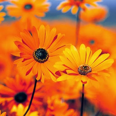 heatherp626's profile picture. 