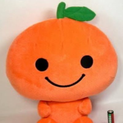 ハイブラ💎海外旅行好き/🍊は強制卒業(退場?)👩🎓🌸/ほぼ隔月✈️🇰🇷が生き甲斐/30代のしがない会社員