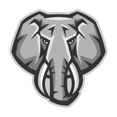 vgtteam's profile picture. 認識自己的無知，需要相當程度的知識