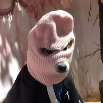 aiqiqi77's profile picture. 