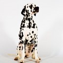 Martin Weil - @Martin2442 - Twitter