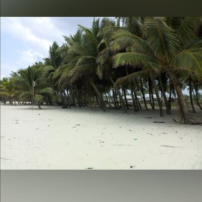 Sula2nice's profile picture. Muslim