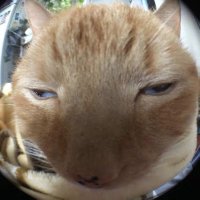 pabel π (@suarez____) 's Twitter Profile