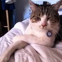 Sasha Starr - @sash1919 - Twitter