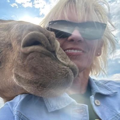 ChristiRMcCoy's profile picture. Mama, Lawyer, Chicken Keeper and general badass