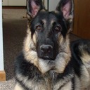 Donna Sawyer - @nutbowl1 - Twitter