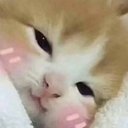 Kevin Mutz - @KevinMutz783728 - Twitter