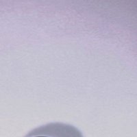 ProBoo (@procat38072817) 's Twitter Profile