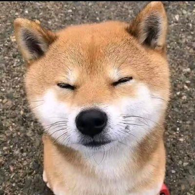 chnjnhu58127657's profile picture. 