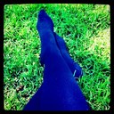 Sarah Penman - @Sararahaha - Twitter