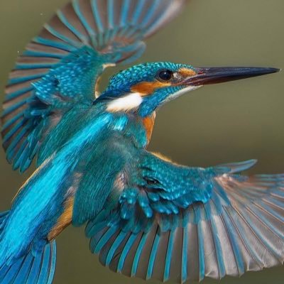 ThairAbbas22205's profile picture. Abu Dhabi , looking for friends. 55 y