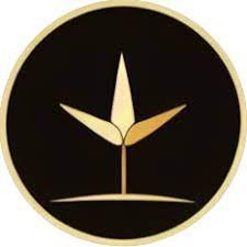 Glow Foundation