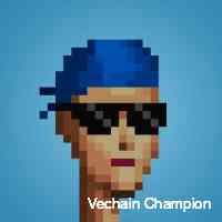 veechainchampi Profile Picture