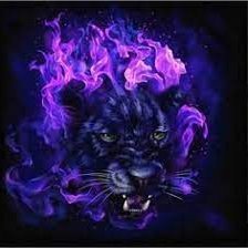 fossilman0's profile picture. 4M2UGPU5