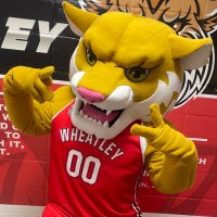 Wildcat Athletics (@wheatleysports) Twitter profile photo