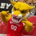 Wildcat Athletics (@wheatleysports) Twitter profile photo Wildcat Athletics (@wheatleysports) Twitter profile photo
