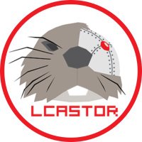 LCASTOR RoboCup Team 🤖 (University of Lincoln) (@lcastor_uol) 's Twitter Profile
