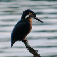 JenDrek (@jend_drek) 's Twitter Profile
