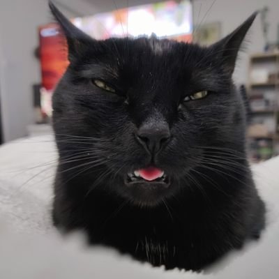 janeydargent's profile picture. plata y miedo nunca tuve