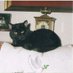 Ebony Timms 😾 (@timmsebony) Twitter profile photo Ebony Timms 😾 (@timmsebony) Twitter profile photo