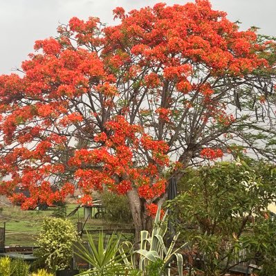 Jane67303557's profile picture. Just here for the fun