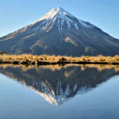 mazhuo553990437's profile picture. 画