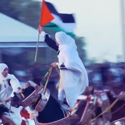 Moktarkareem55's profile picture. Medical researcher