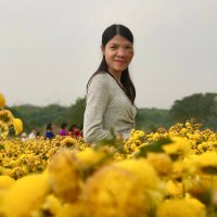 Diem Nguyen (@diemnguyen4282) 's Twitter Profile