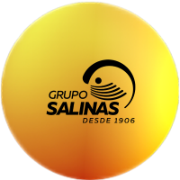 Grupo Salinas(@gruposalinas) 's Twitter Profile Photo