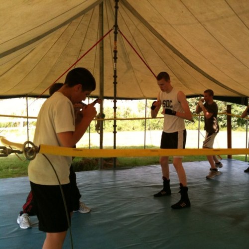 PunchOutCamp's profile picture. 