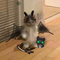 Gelito 🧊 (@angelo_mini_) 's Twitter Profile