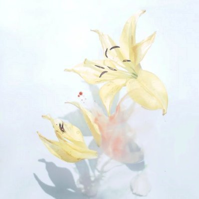 TBryant11267's profile picture. 