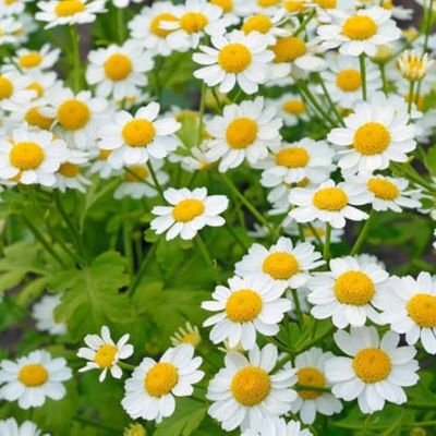 arikensho's profile picture. ２人の息子もちのワーママ👦👦
コスメ*グルメ*旅行*インテリア*漫画*推し活
お得、懸賞大好きです🫶
同じ趣味のかたよろしくお願いします🫶