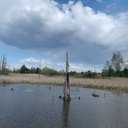 Logan Cobb - @LoganCobb379509 - Twitter