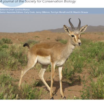 Conservation Science and Practice is a journal of the Society for Conservation Biology focusing on knowledge supporting conservation action