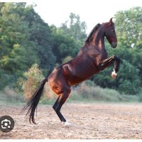 S386ER (@s386er1) 's Twitter Profile Photo