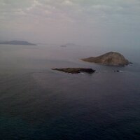 SB Tan (@paofhi) 's Twitter Profile