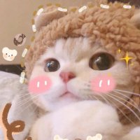 bonnie (@fyykifik70400) 's Twitter Profile
