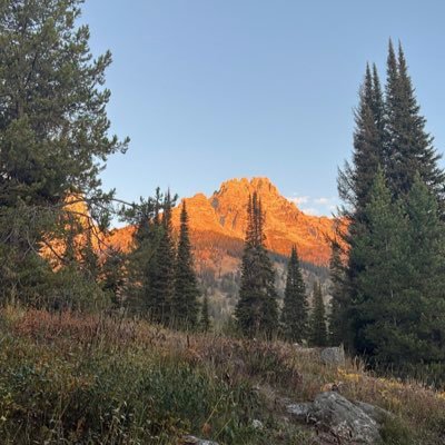 cprestip's profile picture. 