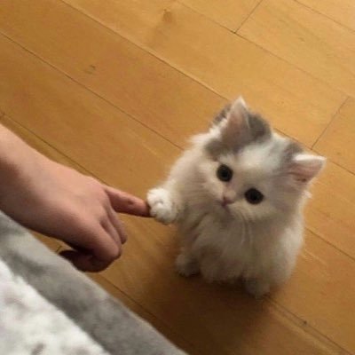 l0vemys7elf's profile picture. All I want for Christmas is