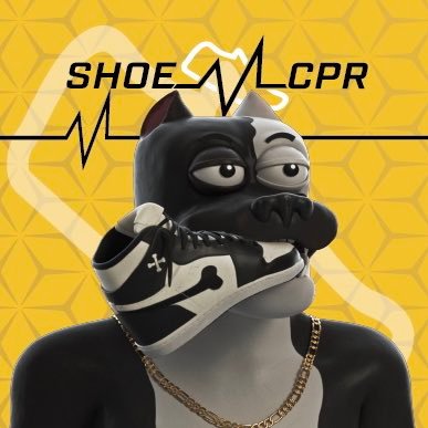 ShoeCPR