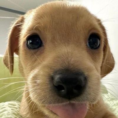 GamingYeagReal's profile picture. balling. goobing.
on my ceo shit