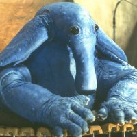 Max Rebo(@maxrebo87) 's Twitter Profile Photo