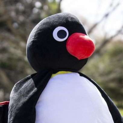 660pingu Profile Picture