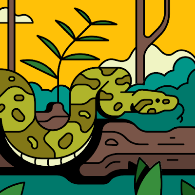 MisterBikeshop's profile picture. 