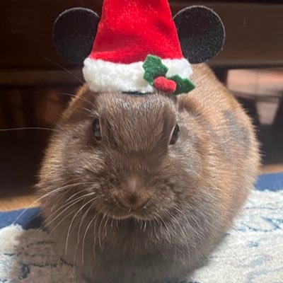 HaruHaru4480's profile picture. 01 SHISHAMO